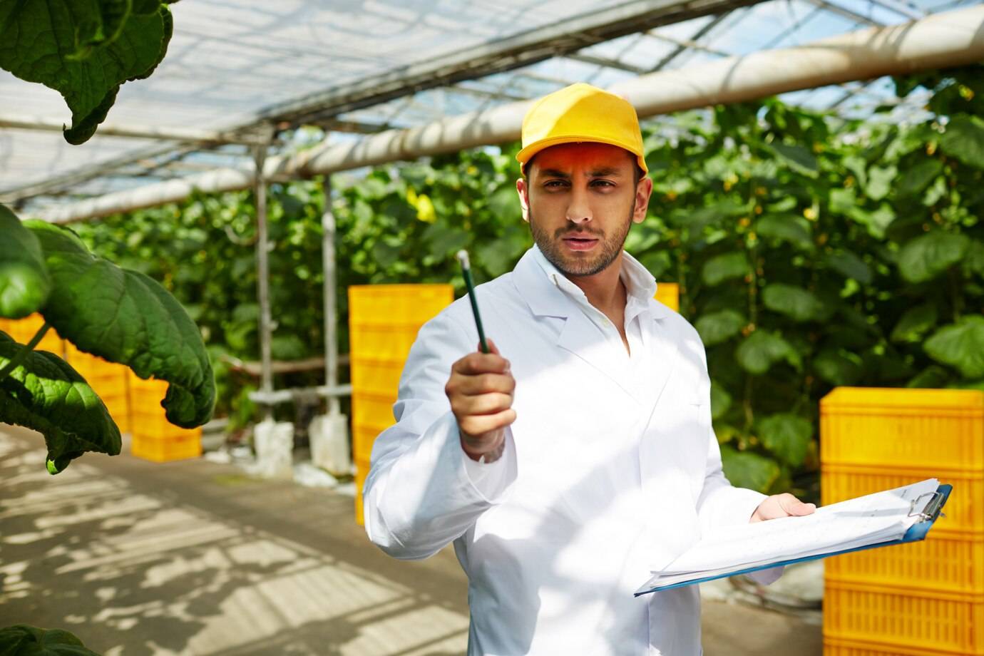 H-2A Visa for Temporary Farm Work in the U.S.