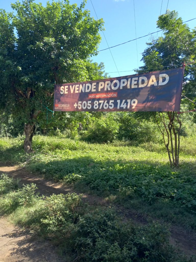 📈 Secure Investment: 15-Manzana Farm in Altos de Masaya