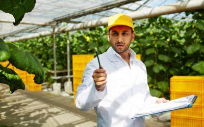 H-2A Visa for Temporary Farm Work in the U.S.